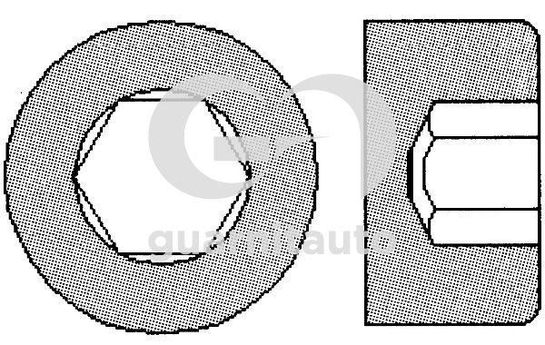 GUARNITAUTO Hengerfej csavar 703503-1010_GUA